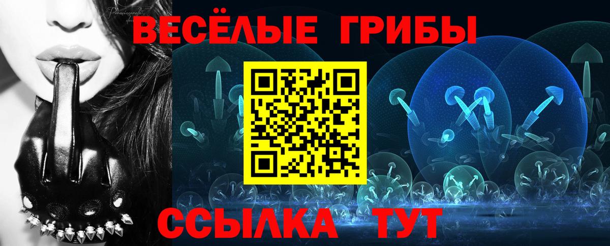 Галлюциногенные грибы мицелий  Вход с VPN  Шарыпово 